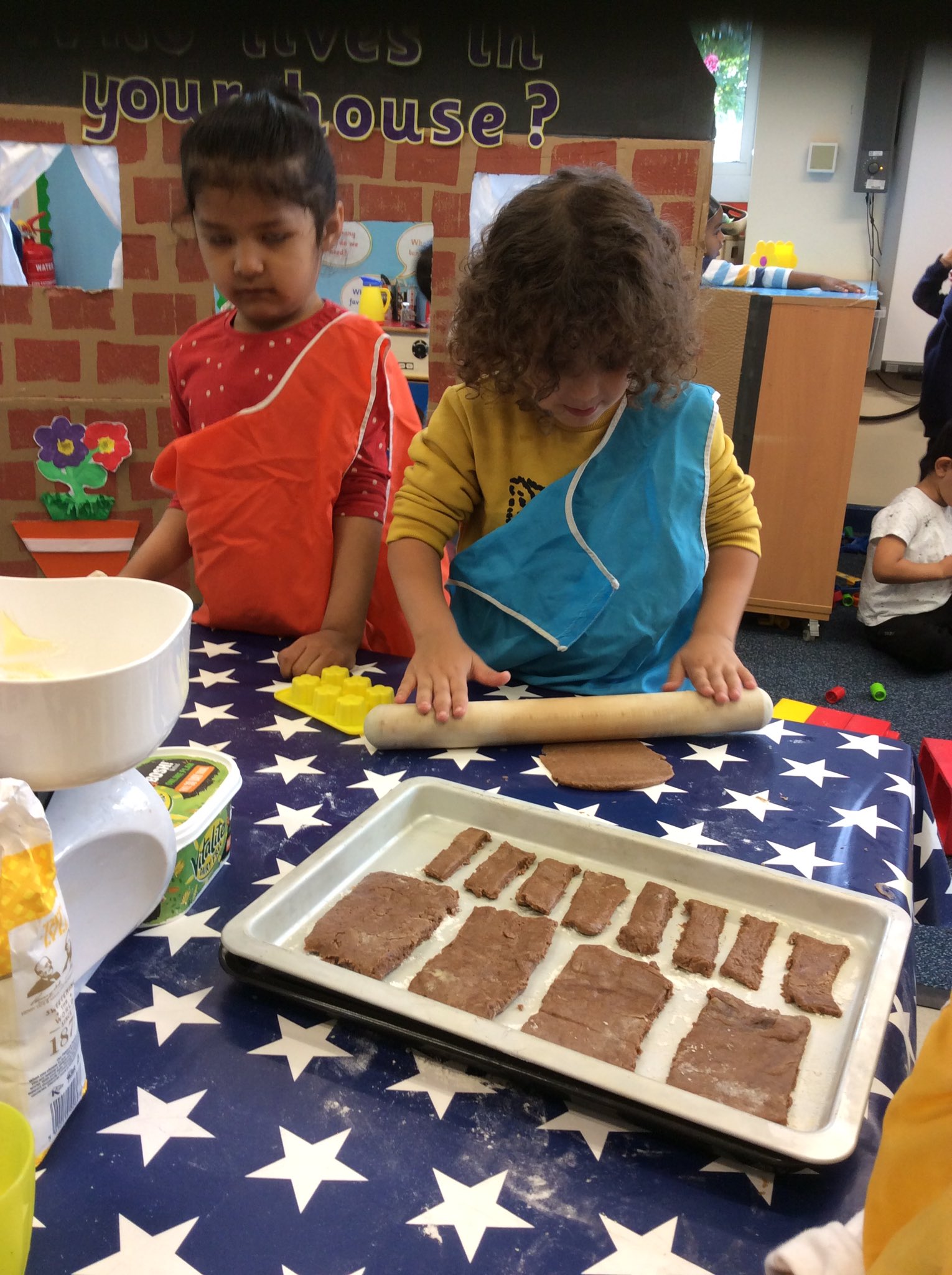 F1 House Brick Shaped Biscuits