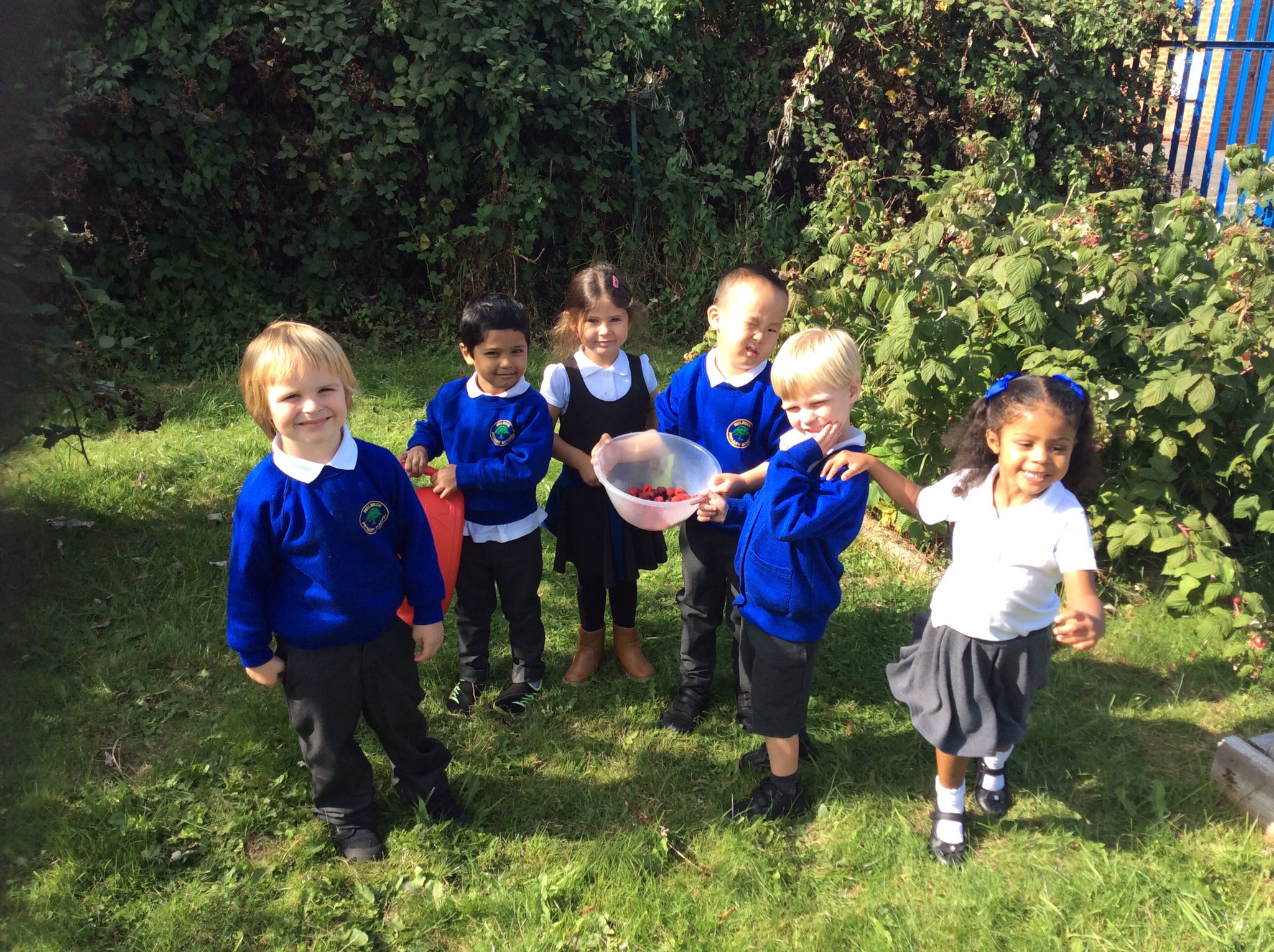 F2 Picking Blackberries