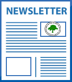 Y6/5A Class Newsletter Summer 2022