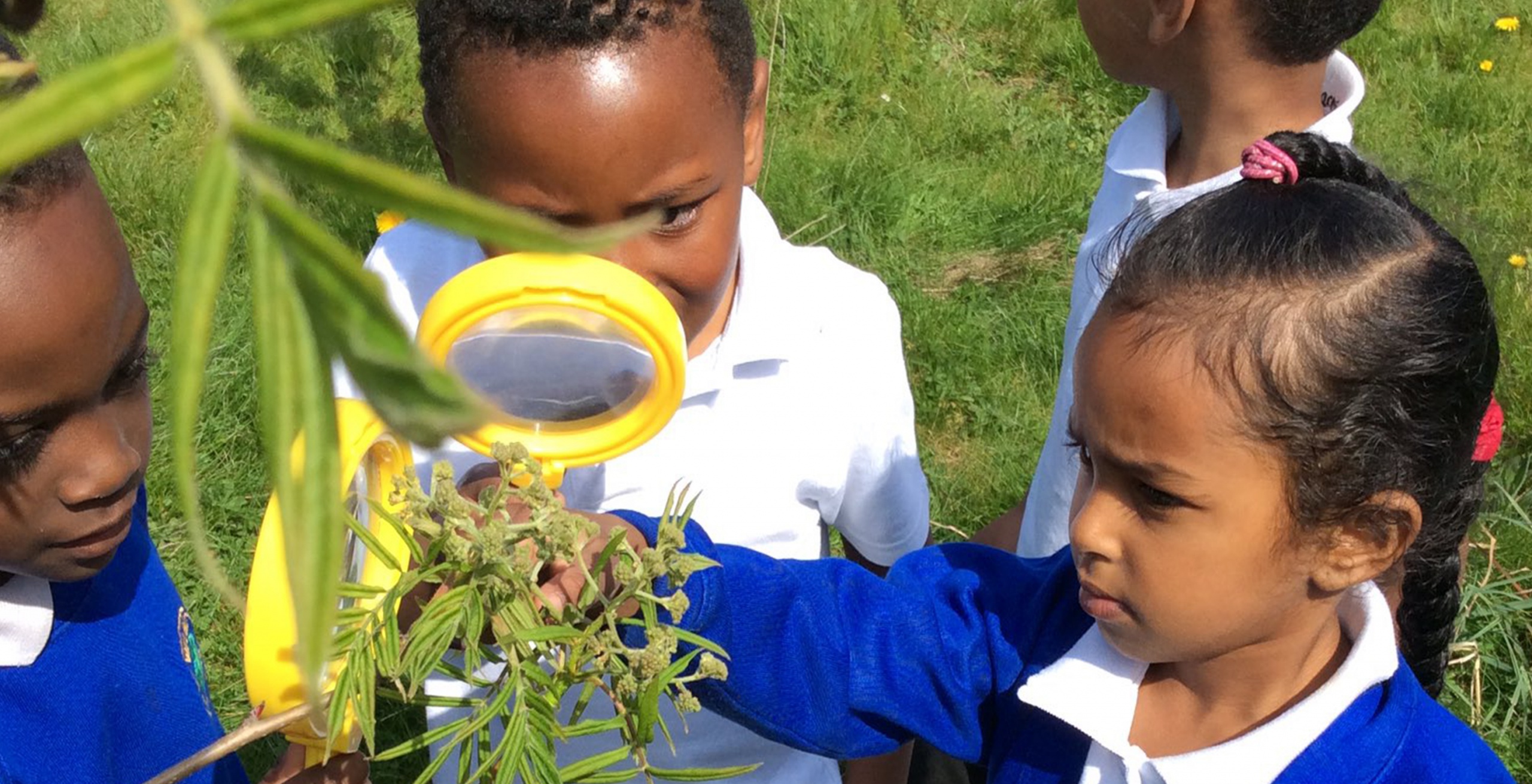 Welbeck Primary School